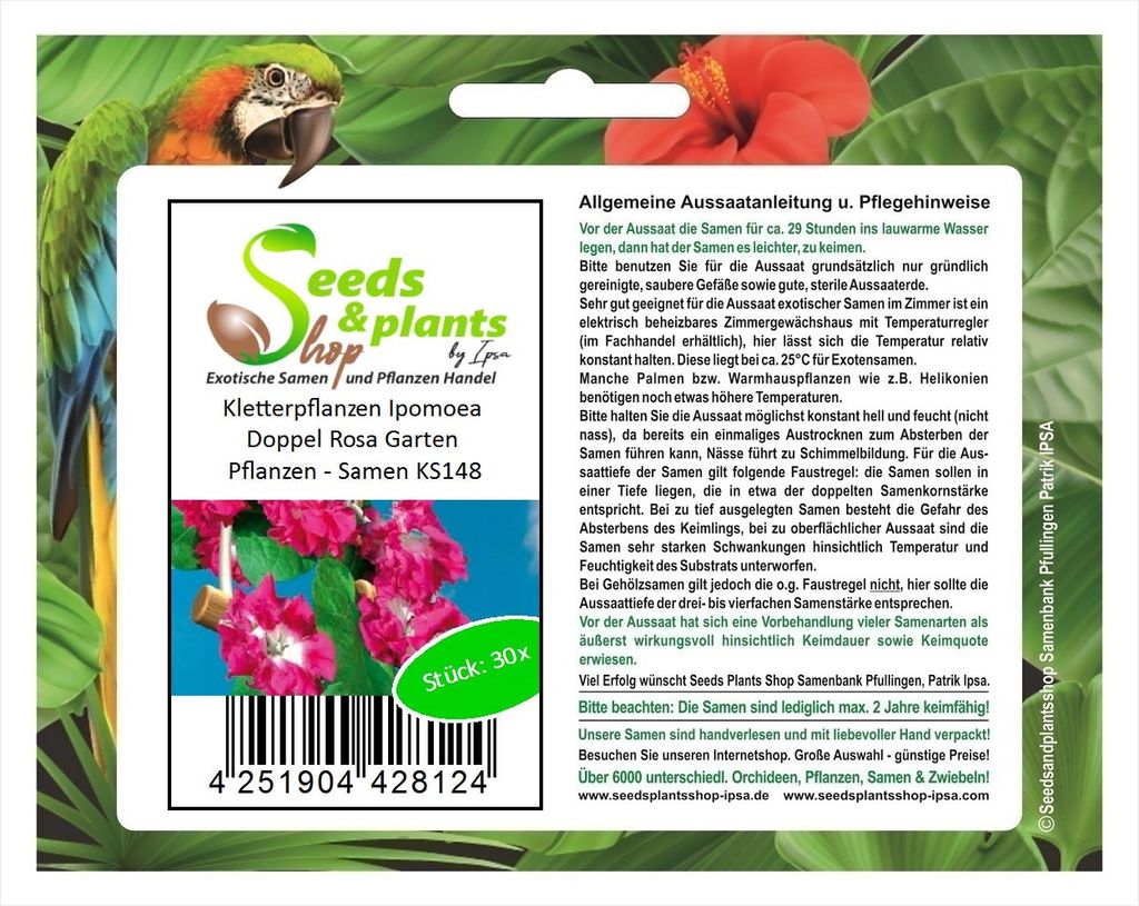 30x Kletterpflanzen Ipomoea Doppel Rosa Garten Pflanzen - Samen KS148
