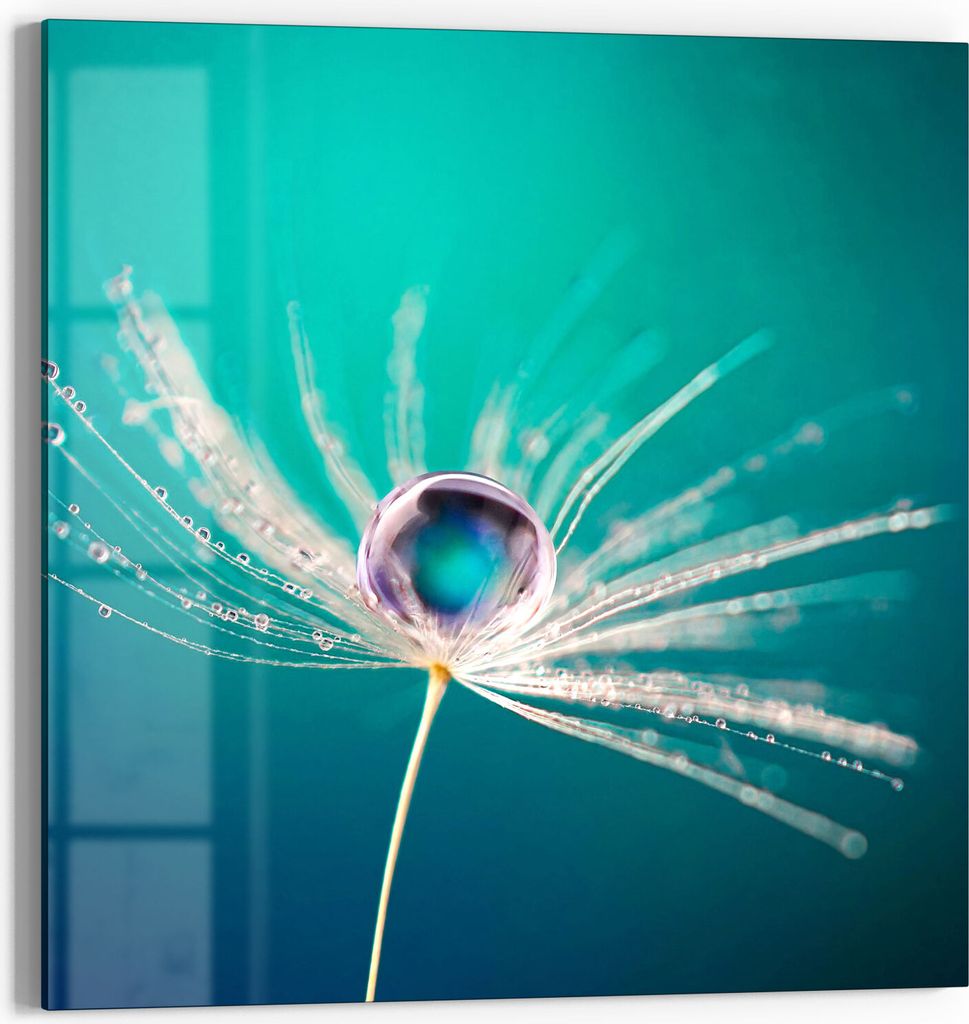 DEQORI Glasbild Echtglas 30x30 cm 'Samen mit Wassertropfen' Wandbild Bild modern Deko