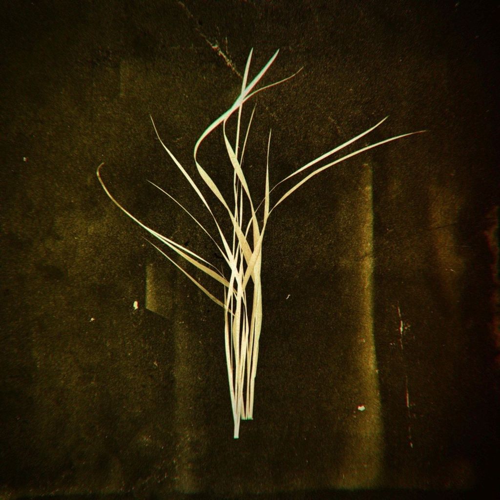 Lumisokea ? Mnemosyne Vinyl