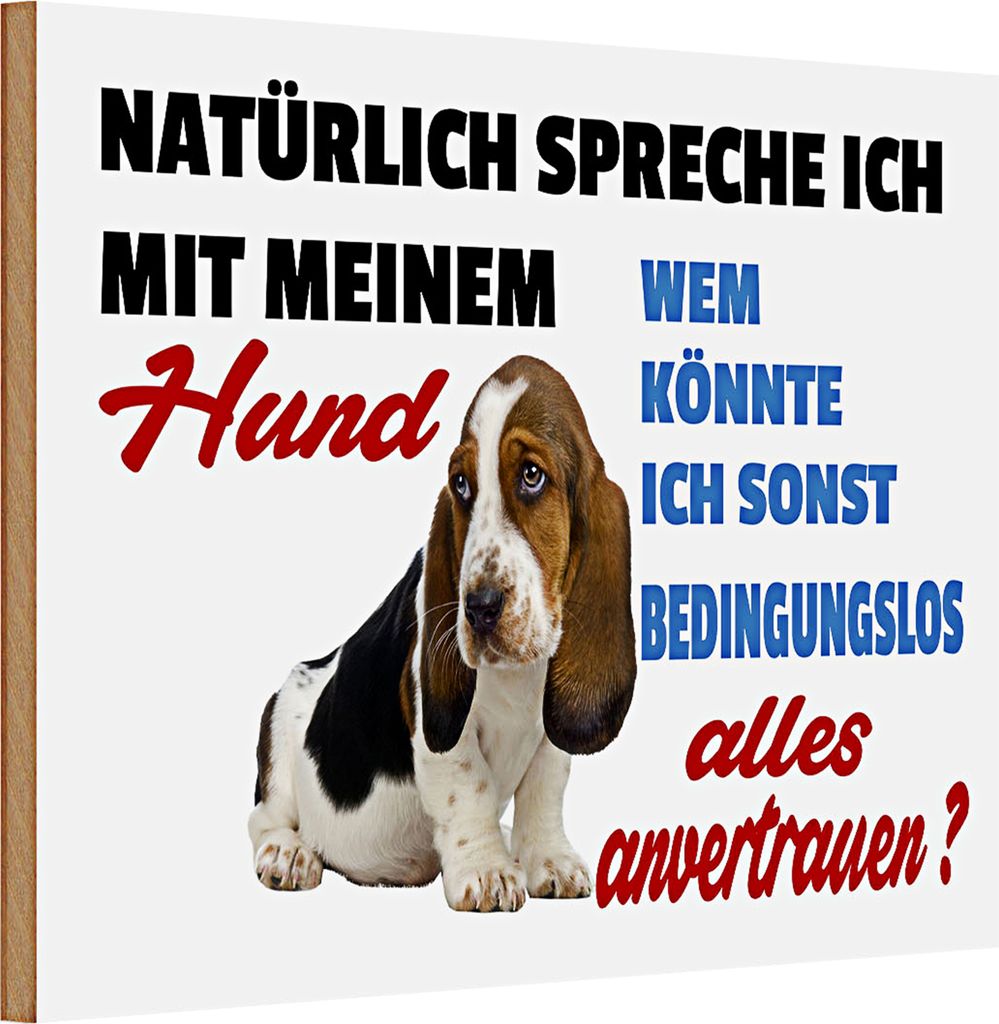 Holzschild Spruch 30x20cm natürlich spreche ich mit Hund