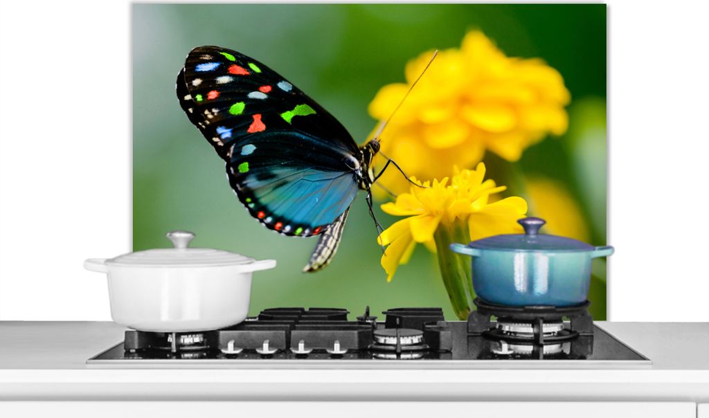 KitchenYeah Spritzschutz Küche - Küchenrückwand - Wandschutz für Herd und Spüle - Schmetterling - Blume - Tier - Insekt 80x55 - Alu-Dibond ...