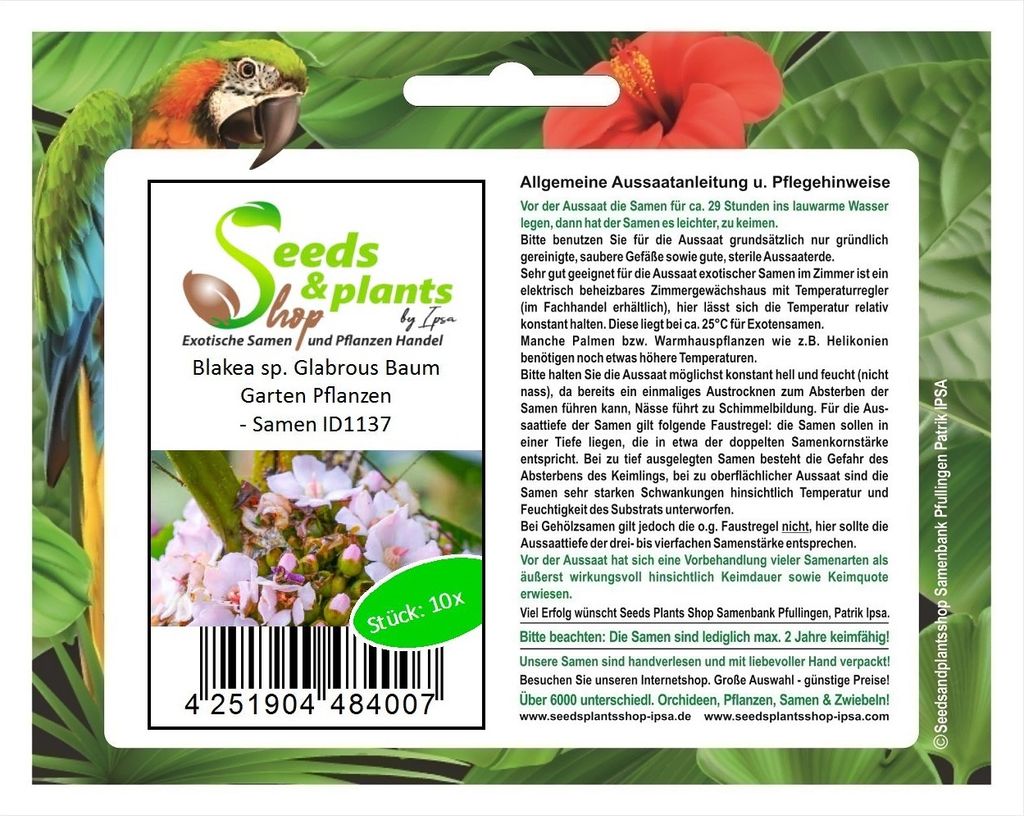 10x Blakea sp. Glabrous Baum Garten Pflanzen - Samen ID1137