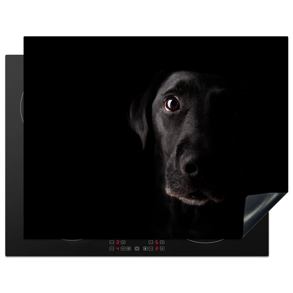KitchenYeah Herdabdeckplatte Ein schwarzer Labrador Retriever auf schwarzem Hintergrund , 77x59cm, Küche Deko, Glaskeramikkochfeld Herdabdeckung...