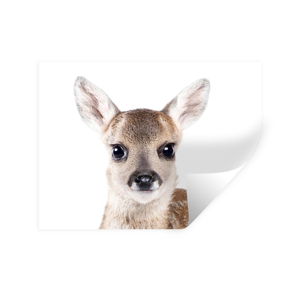 MuchoWow Wandtattoo Wandsticker Wandaufkleber Hirsche - Tiere - Braun - Natur 120x90 cm Selbstklebend und Repositionierbar - Aufkleber