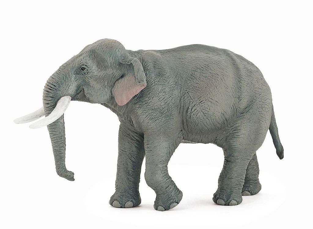 Papo Asiatischer Elefant, 134 g Produktbild 
