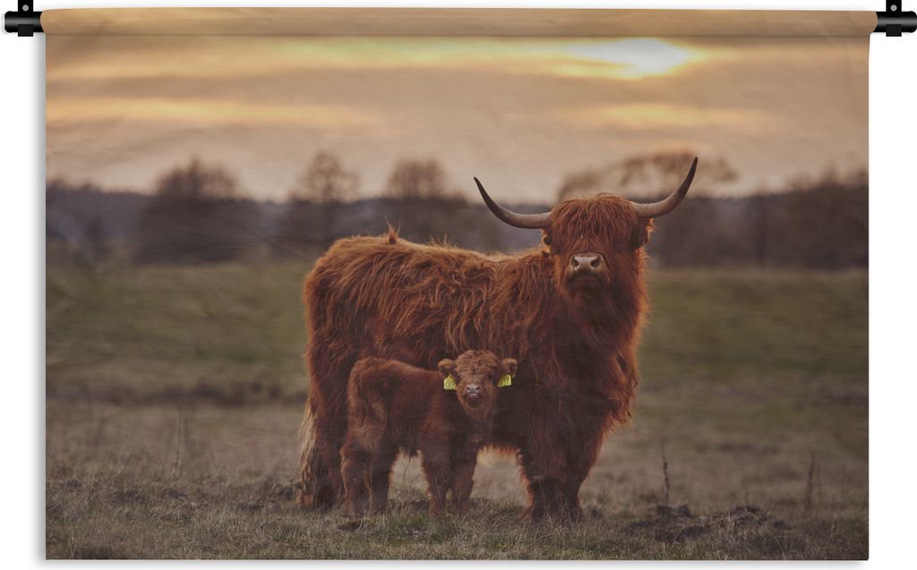 MuchoWow Wandteppich Wandbehang Schottische Highlander - Tiere - Landschaft - Sonnenuntergang - Kuh 150x100 cm Tapisserie Dekoration Wandtuch - W...