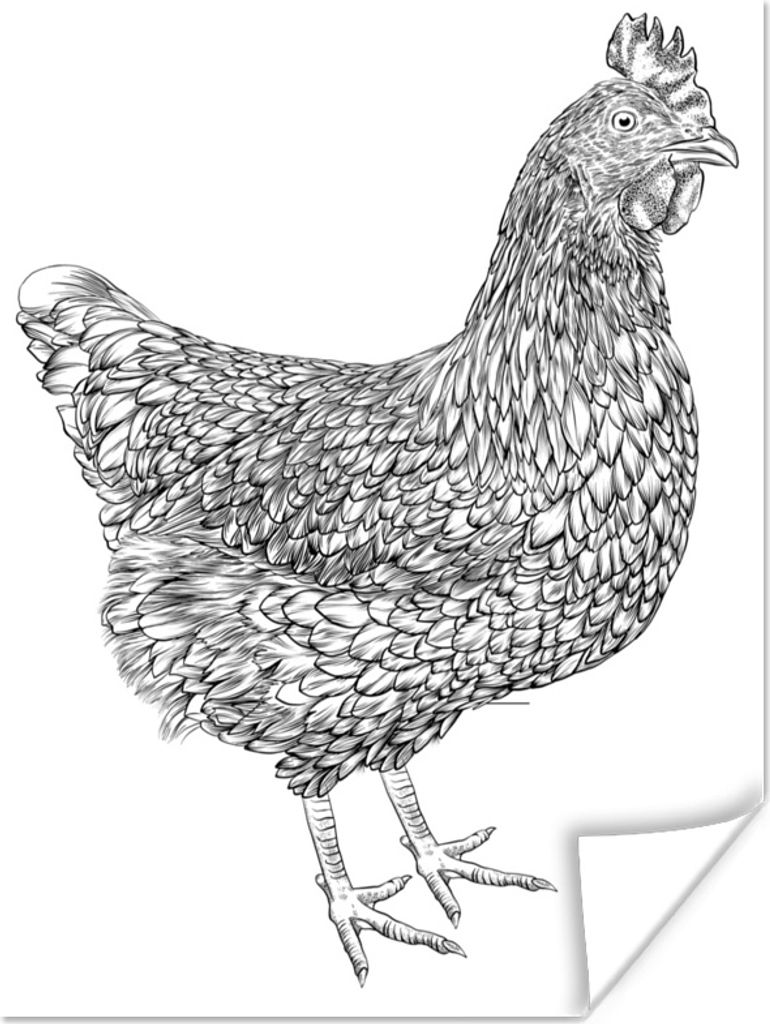 MuchoWow Poster Eine Schwarz-Weiß-Illustration eines Huhns 90x120 cm - Wohnzimmer