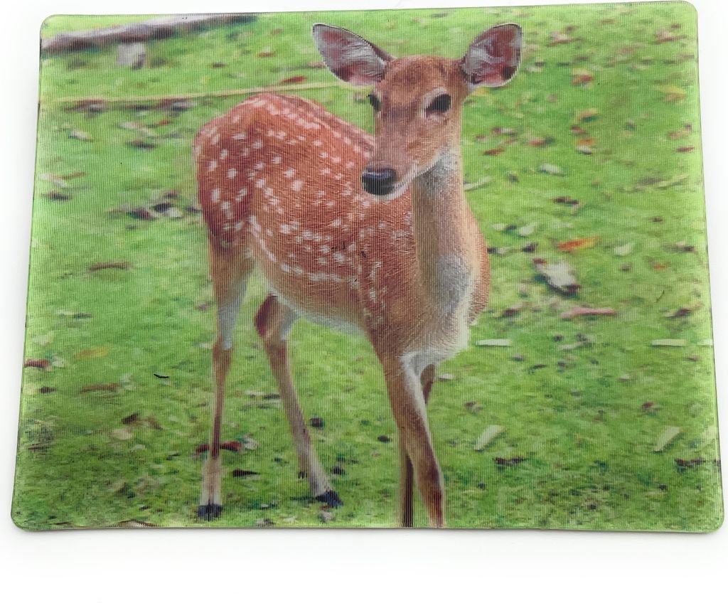 Onwomania Junges Reh Rehkitz Bambi 9x7cm 3D Magnet Karte Kühlschrankmagnet Magnetbild Heftmagnet braun