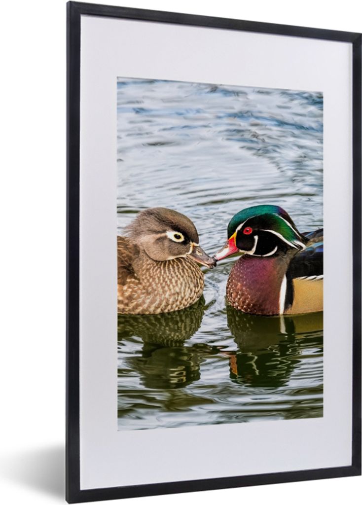 MuchoWow Gerahmtes Poster Ente - Vögel - Wasser - Federn - Tiere 40x60 cm - Poster mit Schwarzem Bilderrahmen Wandposter Rahmen Foto Bilder - Po...