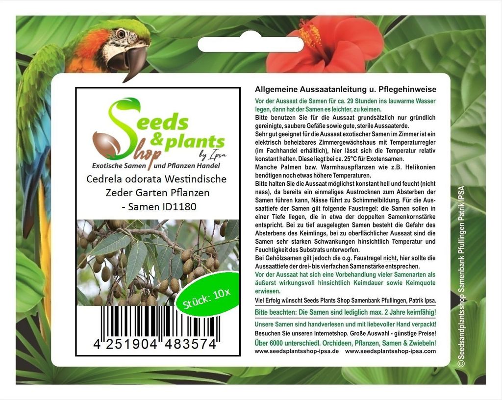 10x Cedrela odorata Westindische Zeder Garten Pflanzen - Samen ID1180