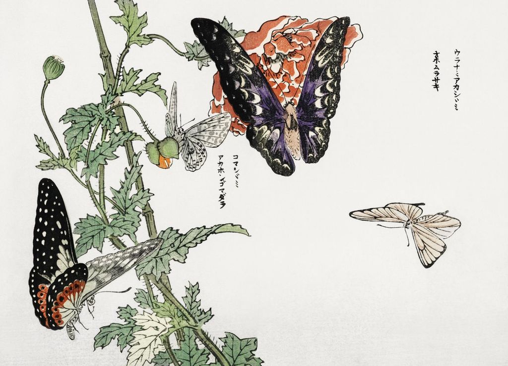 Plakat 18x13cm Schmetterlinge und Pflanze Morimoto Toko Japanisch Vintage für das Wohnzimmer