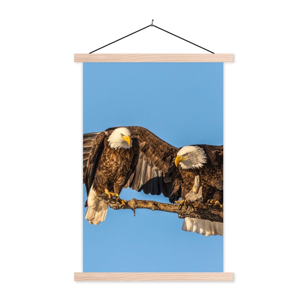 MuchoWow Textilposter Vogel - Äste - Adler - Raubvögel - Luft 40x60 cm mit holzfarbenen Rahmen - Poster