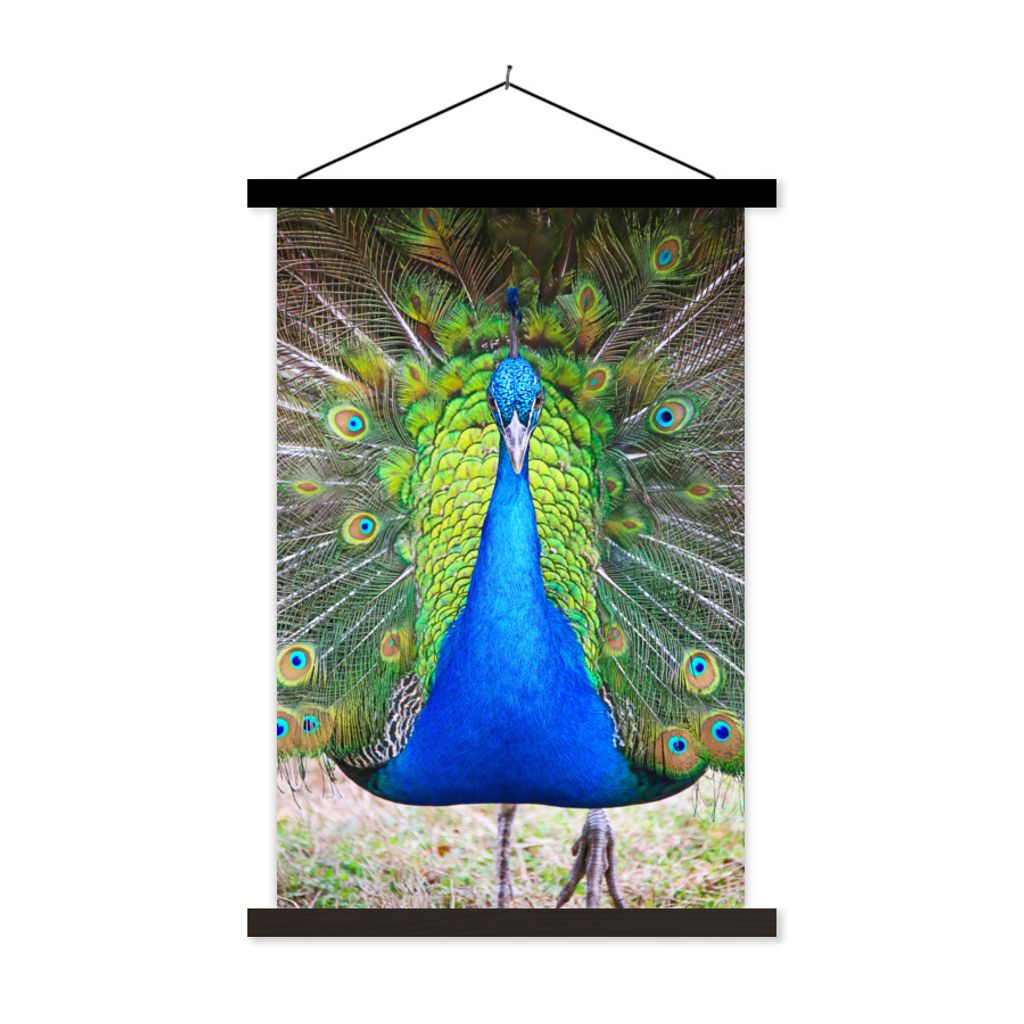 MuchoWow Textilposter Pfau - Blau - Grün 40x60 cm mit schwarzem Rahmen - Wanddekorationen