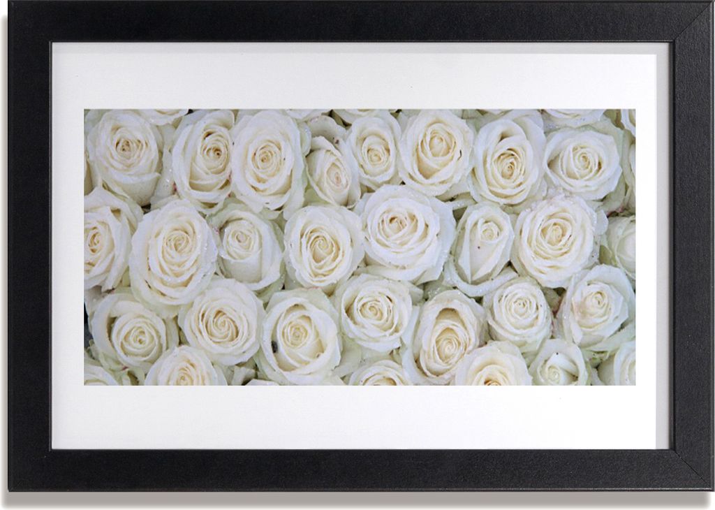 Bild 30x20 MDF-Rahmen Wandkunst Rosen Blumen Pflanzen