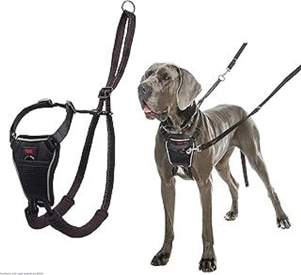 Pettorina Halti No Pull Taglia L - Controllo Professionale Anti-Tiro