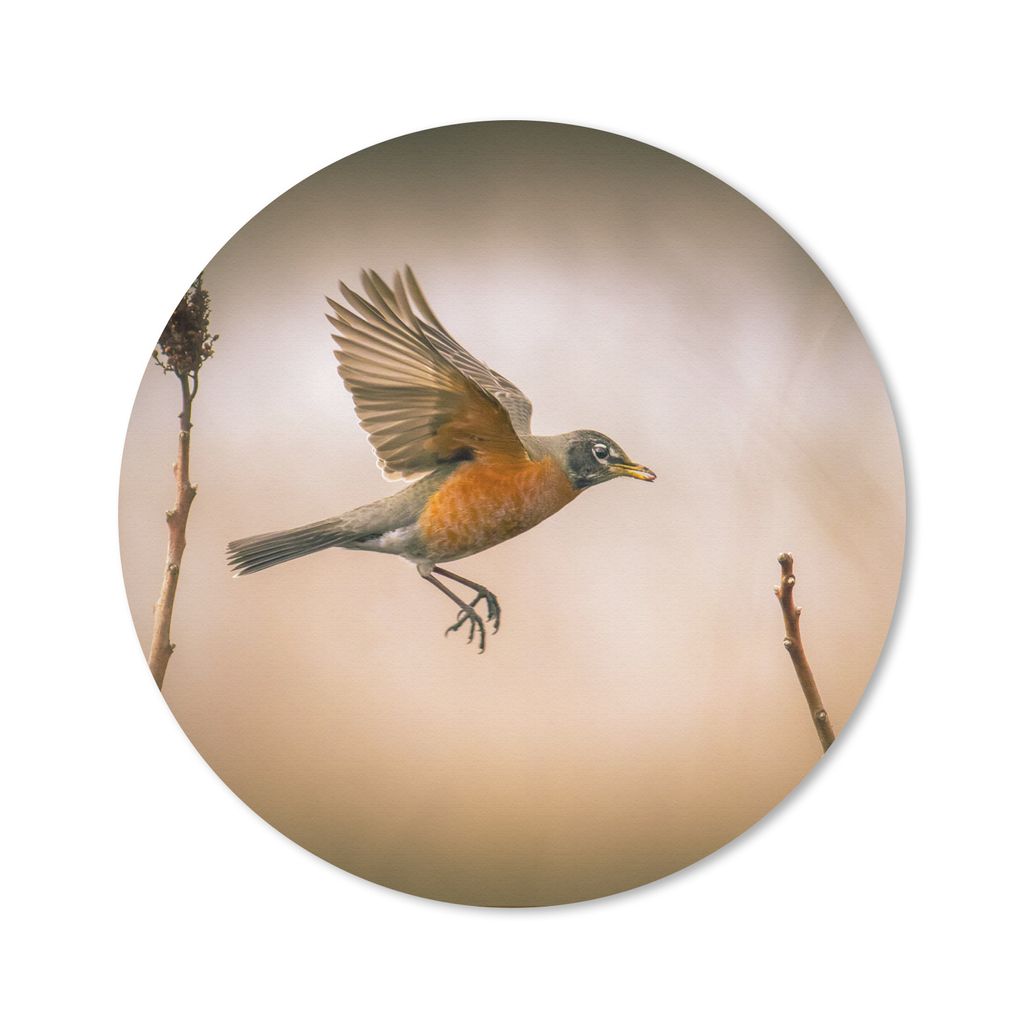 MuchoWow Mauspad Mousepad Rotkehlchen - Flügel - Natur 30x30 cm - Mousepads - Maus Mat - Pad - Mausunterlage - Tischunterlage - Schreibtischmatten