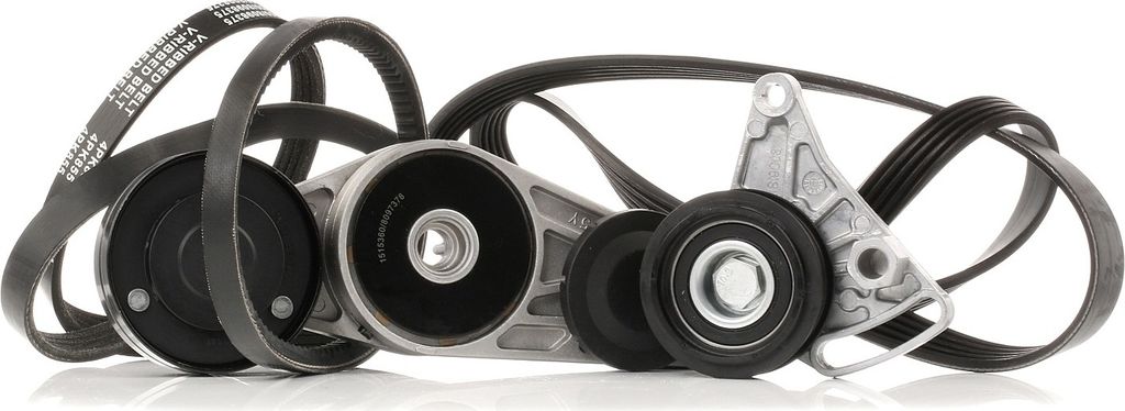 RIDEX 542R0037 Keilrippenriemensatz für VW PASSAT Variant (3B6)