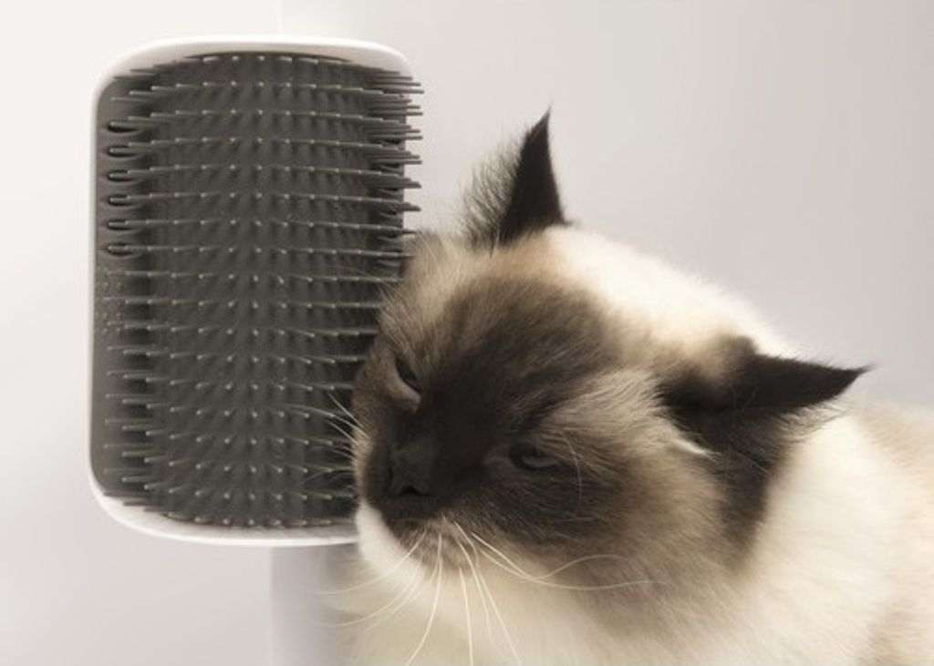 Catit 2.0 Zelfverzorgingsapparaat voor katten, met Productafbeelding 