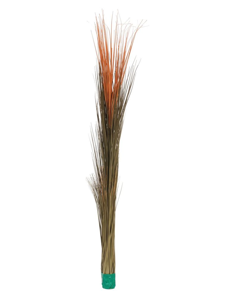 EUROPALMS Schilfgras, künstlich, hellbraun, 127cm (82505852)