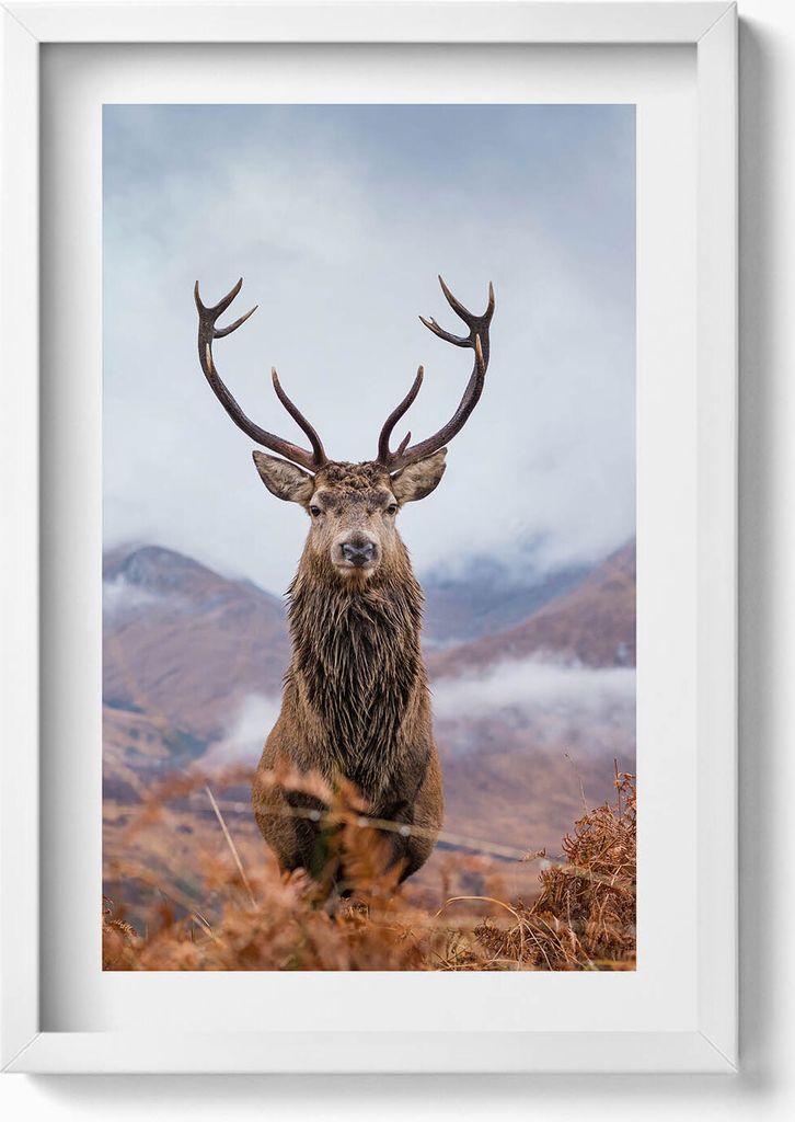 Gerahmtes Kunstwerk– Wandbild mit Rahmen – Gerahmtes Bild – Wanddekoration – 40x60 cm – Weiß