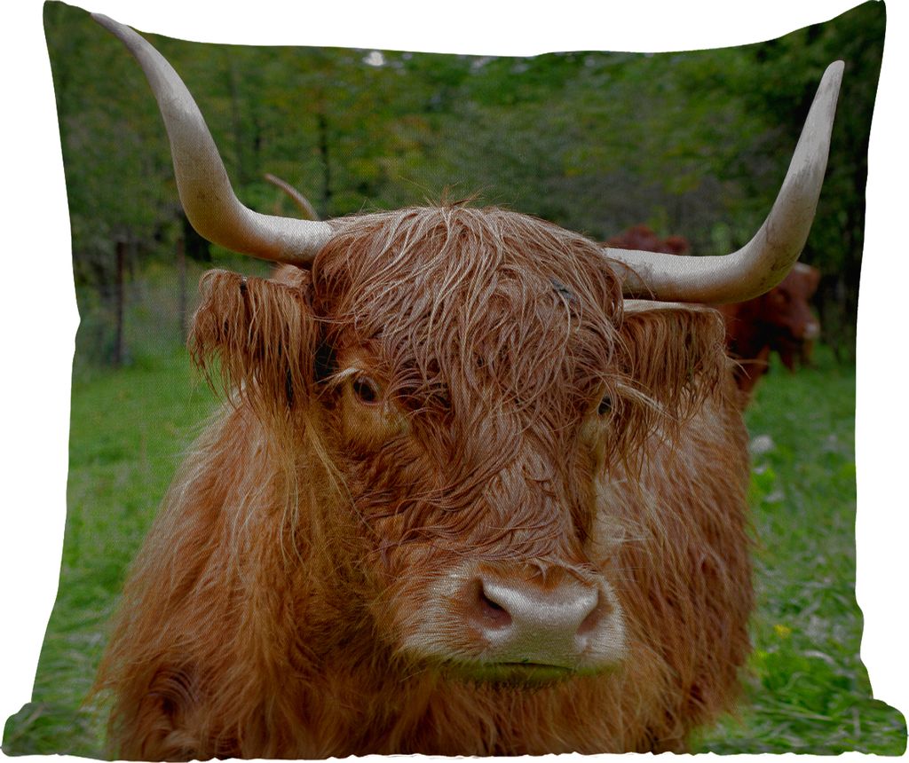 MuchoWow Outdoor Kissen - Schottische Hochlandrind - Tiere - Gras - 50x50 cm - Wetterfest - Lounge Kissen - Komfortabel - Kissen mit Bild