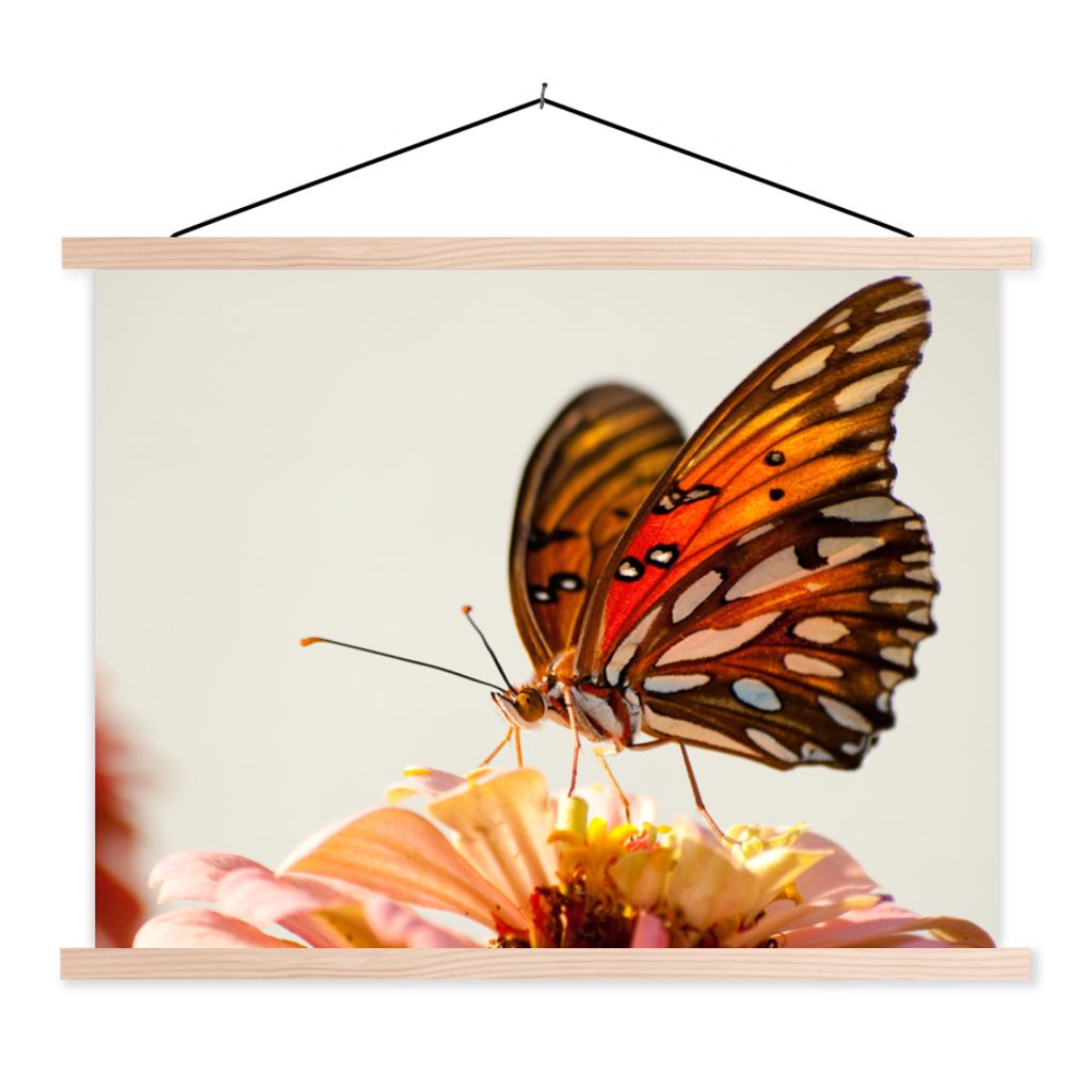 MuchoWow Textilposter Schmetterling - Orange - Blume - Insekten 40x30 cm mit holzfarbenen Rahmen - Bilder