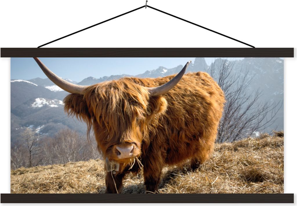 MuchoWow Textilposter Schottisches Hochlandrind - Berg - Schnee 150x75 cm mit schwarzem Rahmen - Posterleiste