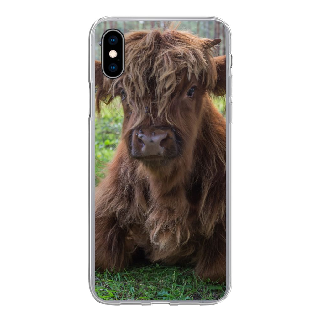 MuchoWow Handyhülle Schutzhülle Hülle für iPhone Xs Schottischer Highlander - Kröte - Tiere Silikon Softcase Handy Hülle - Handytasche