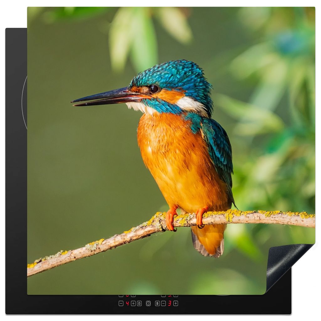 KitchenYeah Herdabdeckplatte Vogel - Eisvogel - Zweig - Blätter - Moos , 78x78cm, Küche Deko, Glaskeramikkochfeld Herdabdeckung, Abdeckplatte f...