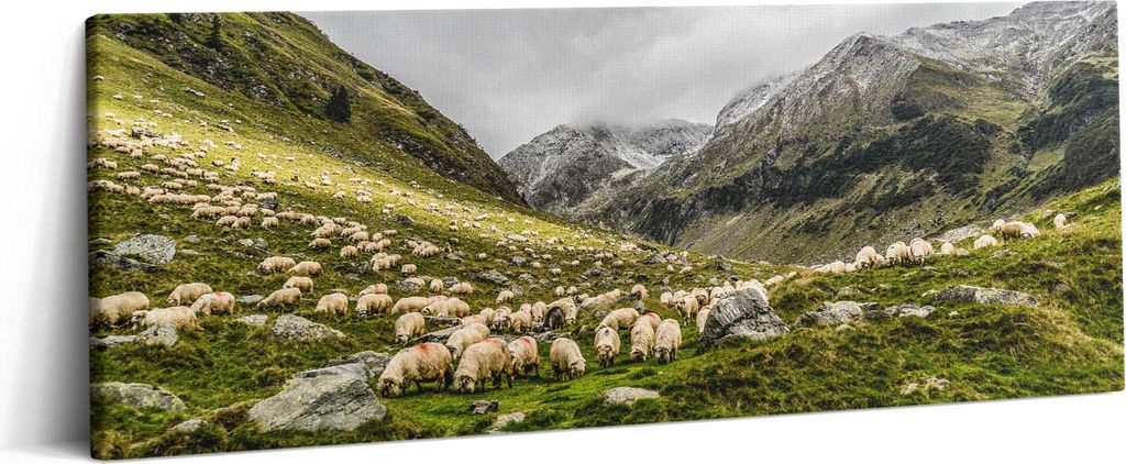 Schafe auf einer Lichtung in den Bergen – Leinwandbild Wandbild – 125x50 cm – Leinwandbilder – Wandbilder – Schlafzimmer – Flur