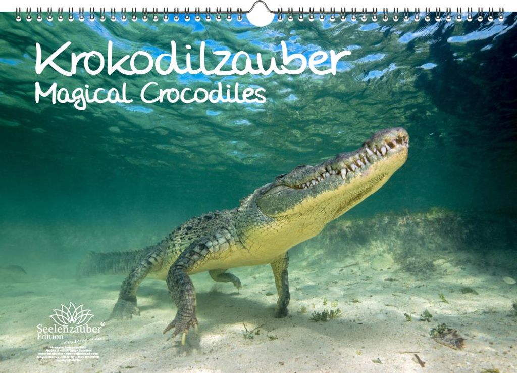 Krokodilzauber Immerwährender Kalender DIN A3 Krokodile und Alligatoren - Seelenzauber