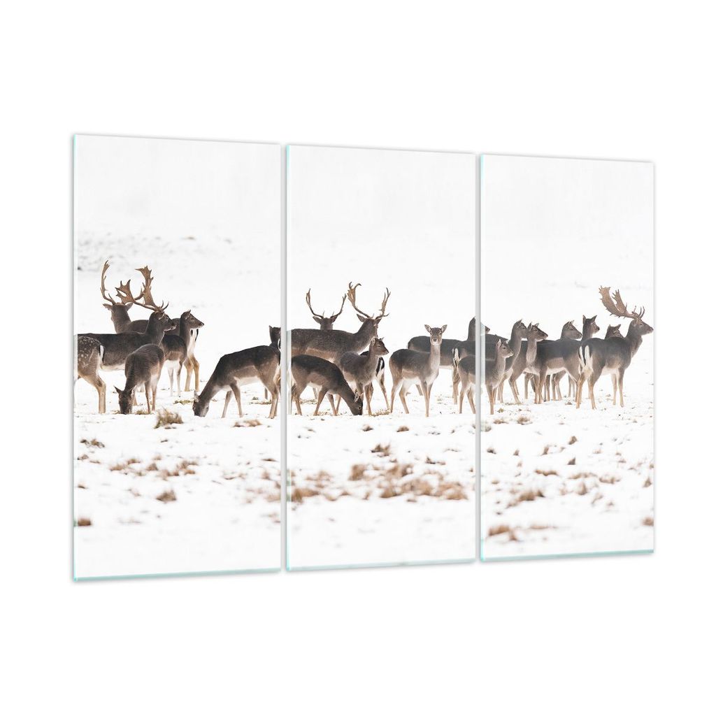 Bilder auf glas - Hirsch Winter Tierwelt Landschaft - 105x70cm - Glasbilder - Wandbilder - Kunstdruck - Wanddekoration aus Glas - Glas Bilder - Wan...