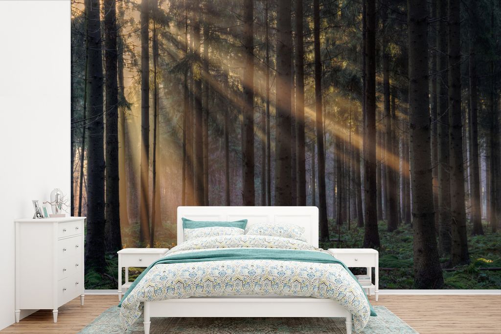 MuchoWow Fototapete für Wohnzimmer oder Schlafzimmer Wandtapete Vinyl Motivtapete Bäume - Wald - Sonne - Pflanzen - 330x220 cm - Fototapeten