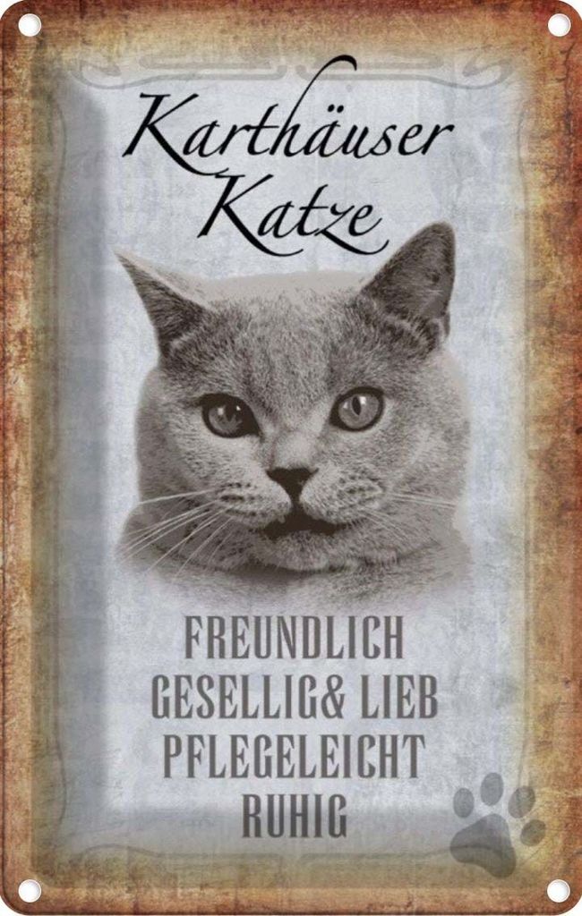 vianmo Blechschild 18x12 cm Karthäuser Katze lieb Tier Haustier