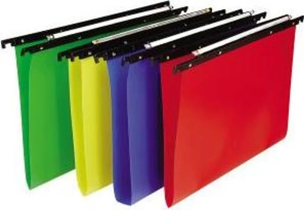 Bertesi Cartesio Multicolore A4: 25 Cartelle Sospese in PPL e PS