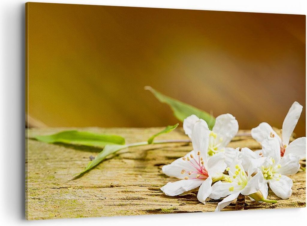 Bild auf Leinwand - Leinwandbild - Asien spa bambus blume - 120x80cm - Wand Bild - Wanddeko - Leinwanddruck - Bilder - Kunstdruck - Wanddekoration ...