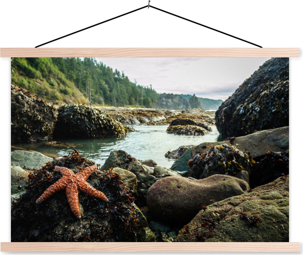 MuchoWow Textilposter Meer - Steine - Seesterne 60x40 cm mit holzfarbenen Rahmen - Bilder
