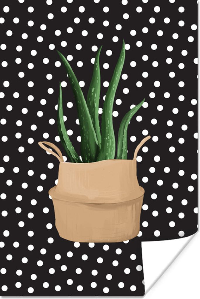MuchoWow Poster Pflanzen - Zimmerpflanze - Aloe Vera 40x60 cm - Plakate für die Wand - Poster Babyzimmer