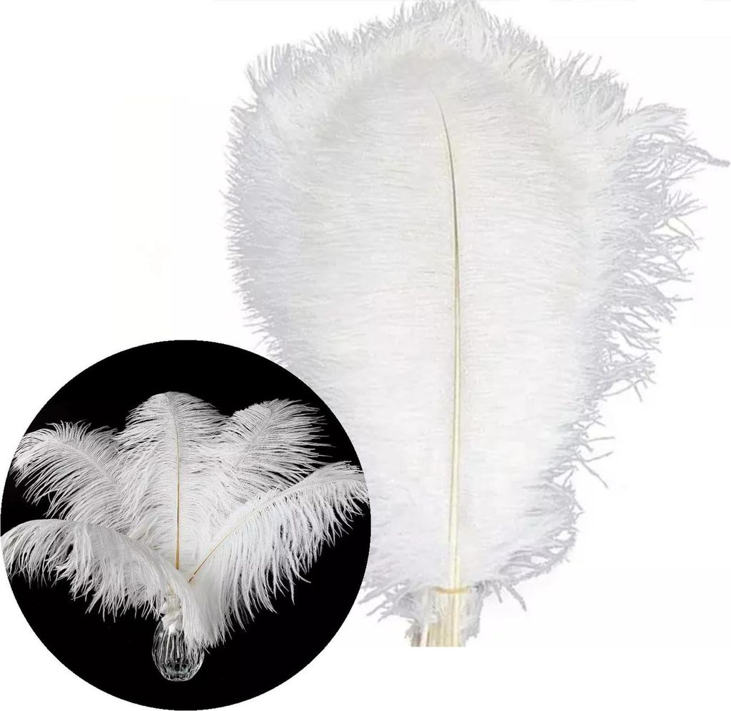 Piume Piume di struzzo, circa 20-30 cm, 20 pezzi, bianco Immagine del prodotto 