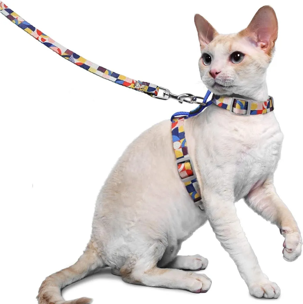 Harnais Chat Anti-Fugue Léger et Réglable Bleu avec Laisse de Promenade