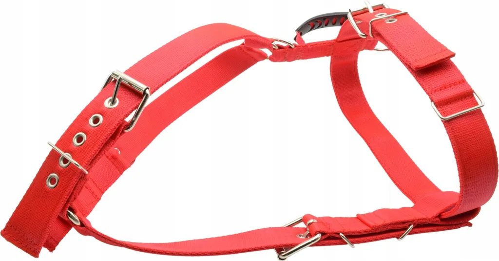 Imbracatura Nelson-X Power S: Sicurezza e Comfort per il tuo Cane