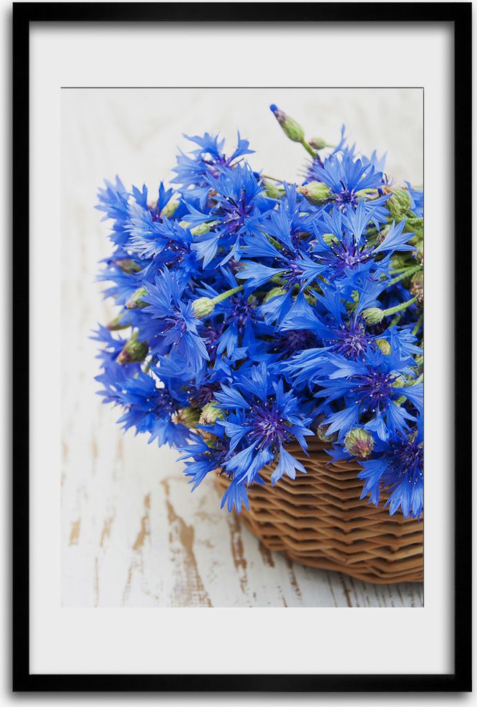 Bild - Bilderrahmen - 40 cm x 60 cm - MDF - Rahmen - Wandkunst - Kornblumen in einem Korb