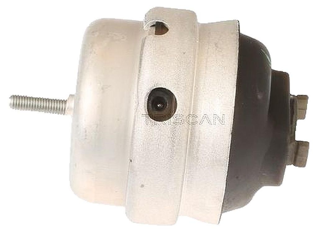 Lagerung Motor TRISCAN Aftermarket-Expertise passend für u.a. AUDI A4