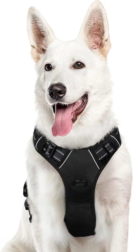 Harnais de randonnée pour grand chien réglable et sécurisé pour le sport