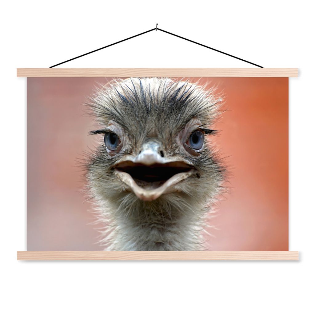 MuchoWow Textilposter Nahaufnahme Strauß 120x80 cm mit holzfarbenen Rahmen - Aufhängeset
