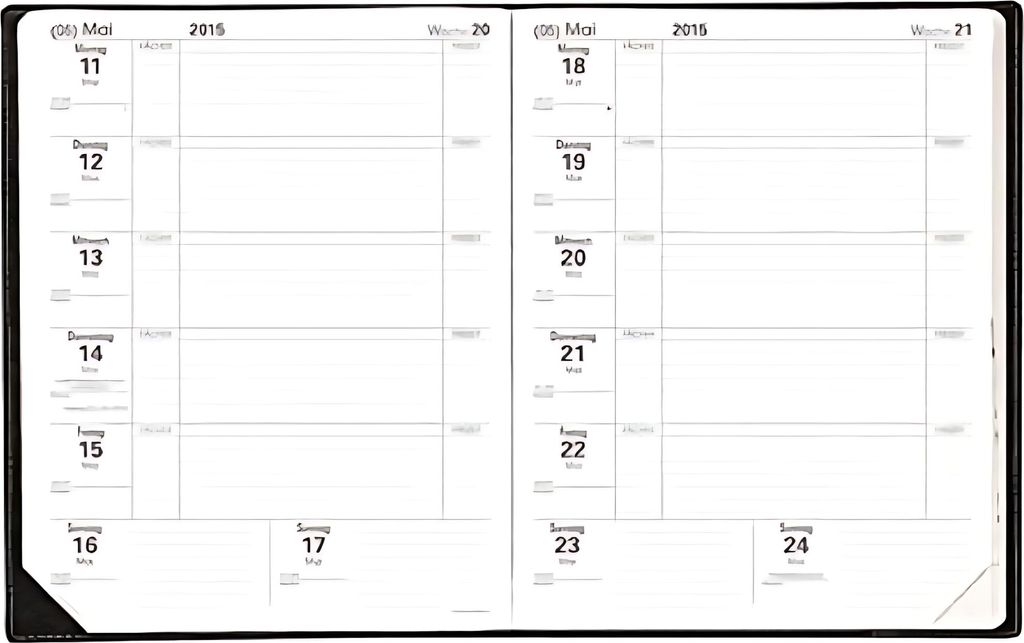 QUO VADIS Lehrerkalender Magister Impala, 21 x 27 cm, 12 Produktbild 