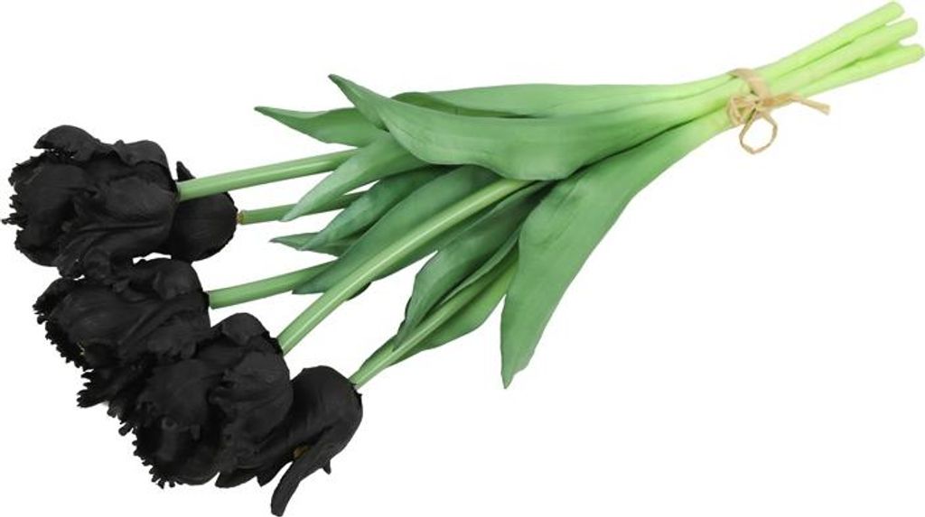 Countryfield Tulipa-Papageienstrauß – Tulpen – Schwarz – 40 cm