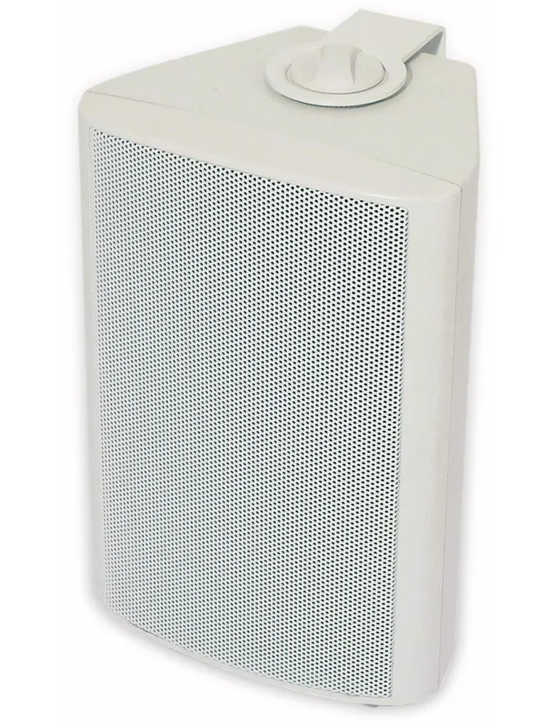 Visaton 50310 Haut-parleur WB 10 Blanc 100V et 8 Ohm pour Sonorisation