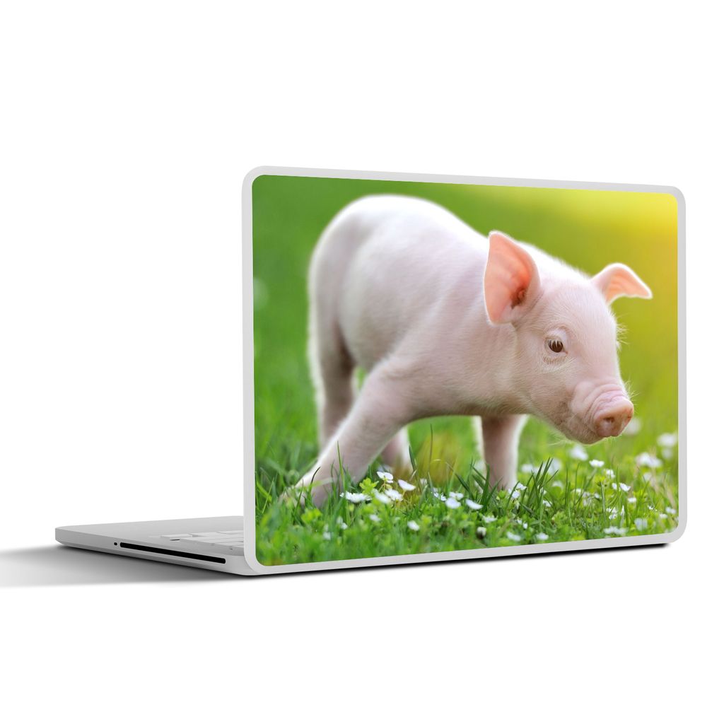MuchoWow Laptop Aufkleber Sticker Cover Tiere - Ferkel - Schwein 25x18 cm - Laptop-Deko