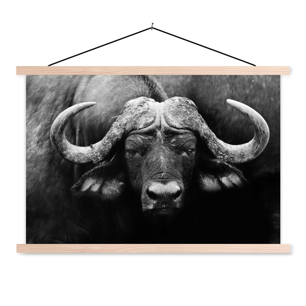 MuchoWow Textilposter Tiere - Büffel - Schwarz - Weiß - Porträt 60x40 cm mit holzfarbenen Rahmen - Bilder